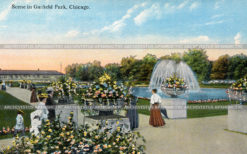 Гарфилд парк в Чикаго. США.
