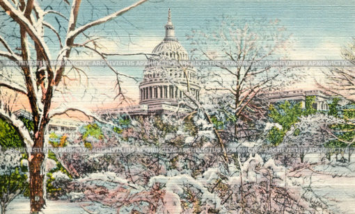 Капитолий зимой. Вашингтон, D.C. США